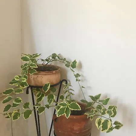 Eva's House * Skiathos