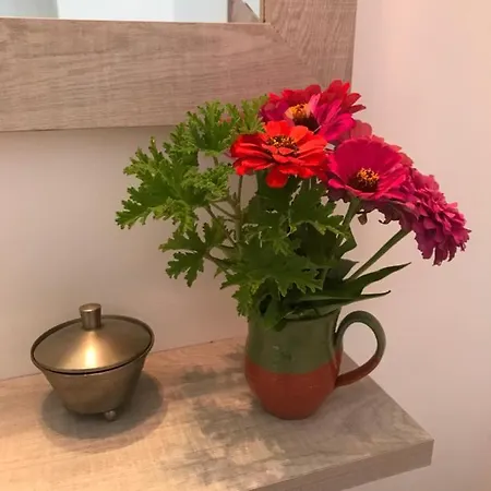 Eva's House Skiathos