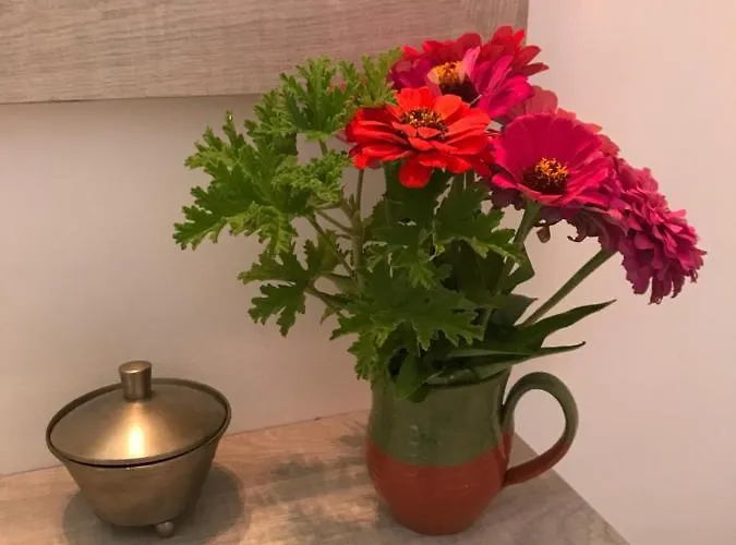 Eva's House 스키아토스 타운